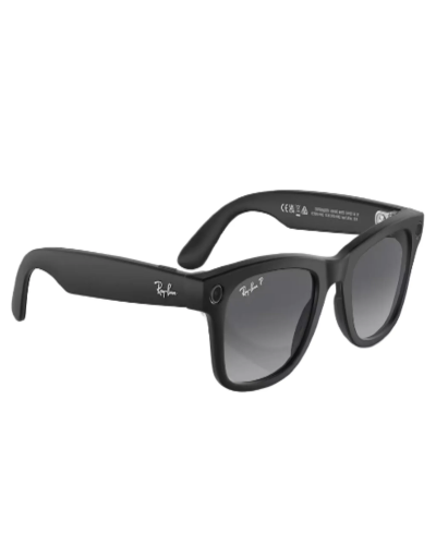 Ray-Ban Meta Wayfarer RW4006 (Matte Black Frame, Graphite Gradient Lenses)