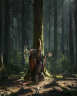 The last of us part || (PS5)