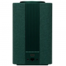 Yandex Station Max with Zigbee (Green)