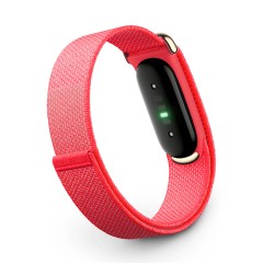 Google Fitbit Air Berry