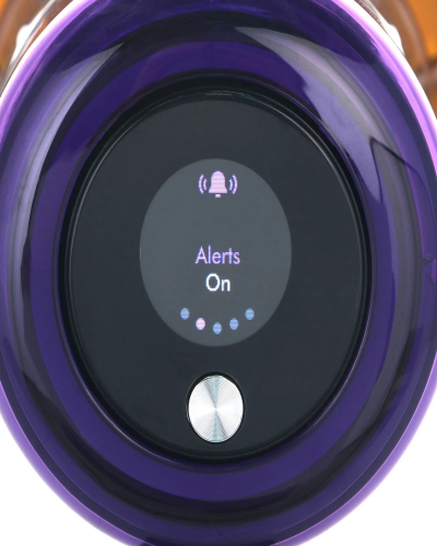 Dyson V15 Detect Absolute SV22 Vacuum