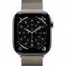 Apple Watch Series 11 46mm, Aluminum, Natural Titanium