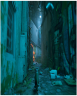 Stray (PS5)