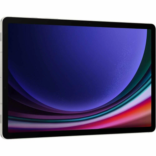 Samsung Galaxy Tab S9 12/256GB Wi-Fi