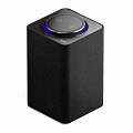 Smart Speakers